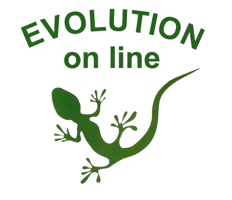 Evolution: board game on-line