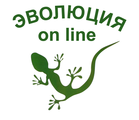 :   on-line